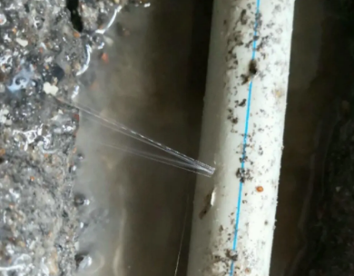 安仁测漏水哪家好