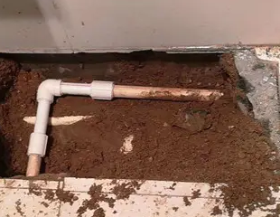 安仁测漏水哪家好