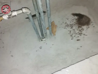 安仁卫生间测漏水价格明细