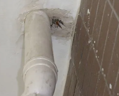 安仁漏水检测哪家好